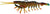 Chasebaits Flick Prawn 95mm Soft Plastic Lure