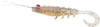 Squidgy Pro Prawn Wriggler Tail 95mm Soft Plastic Lure